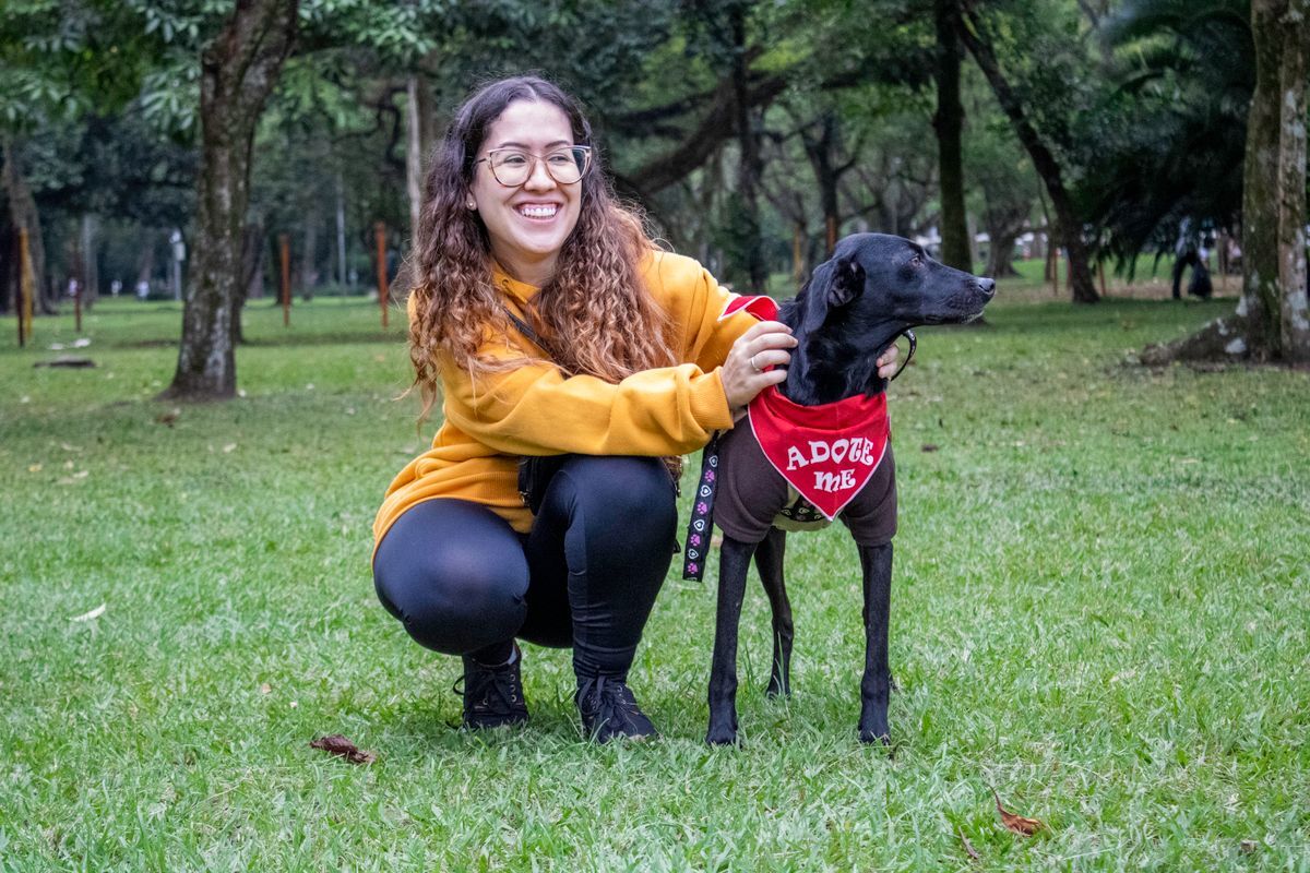 43 perros del Metro CDMX buscan hogar: cómo adoptar (2026)